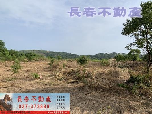 苗栗市農地-8