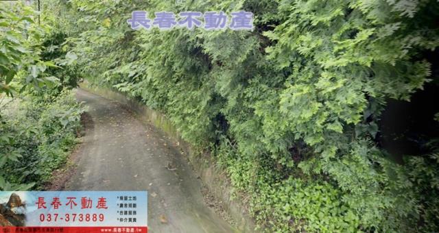 銅鑼農地-1