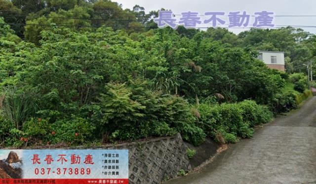 苗栗農地-1