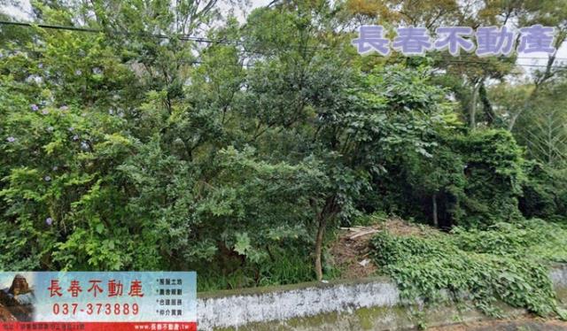 苗栗農地-2