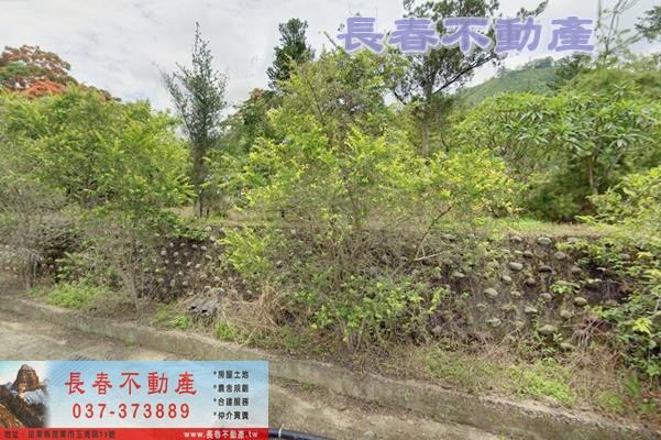 苗栗農地-0