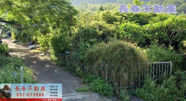 苗栗農地-1