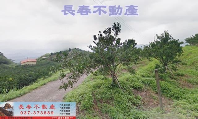 苗栗大湖農地-0