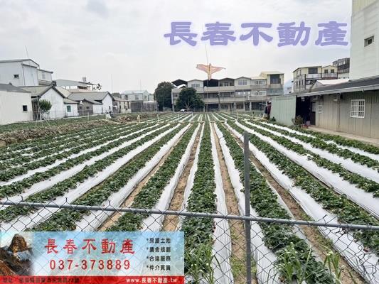大湖建地-3