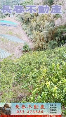 大湖農地-2