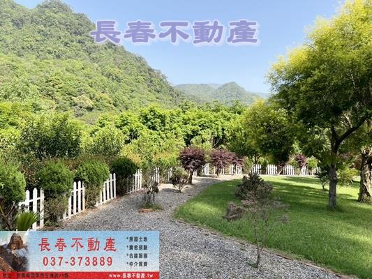 獅潭農地-4