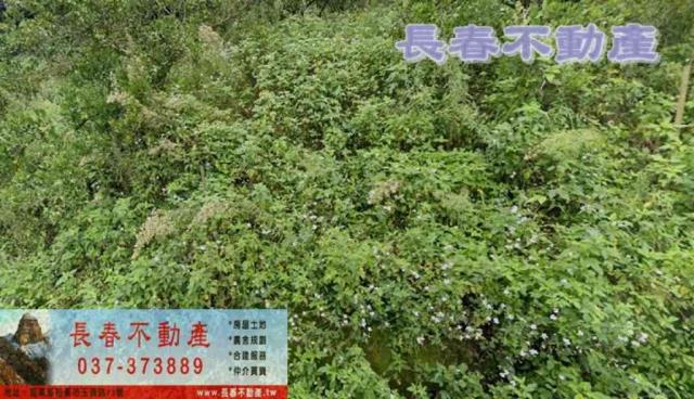 苗栗農地-0