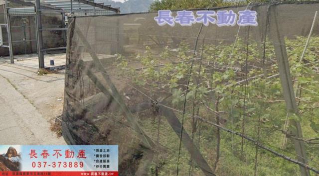 卓蘭農地-2