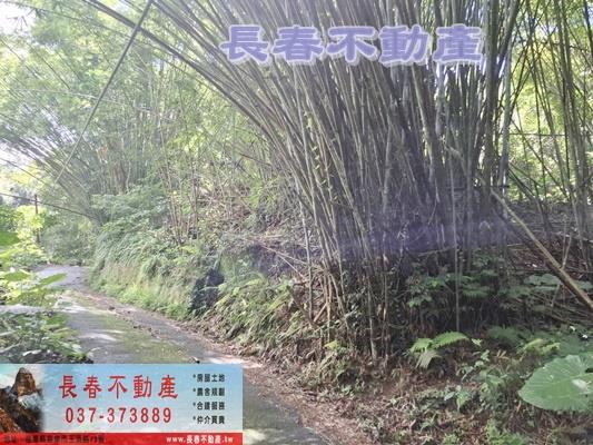 苗栗農地-9
