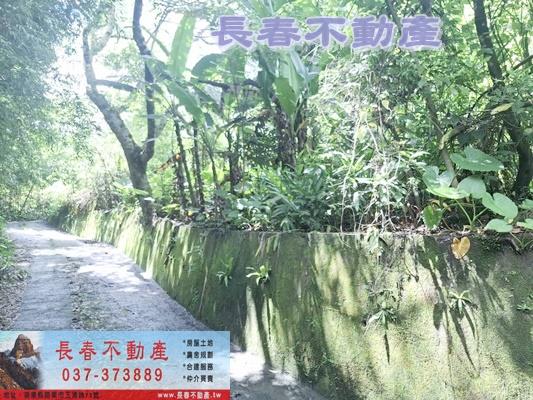 苗栗農地-3