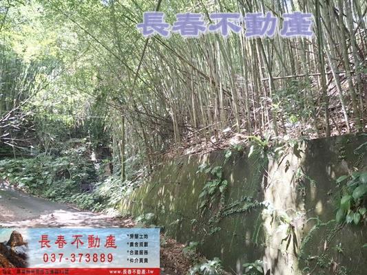 苗栗農地-6