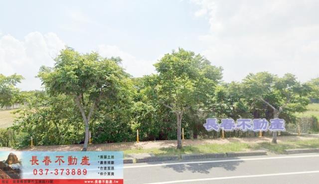 苗栗市農地-0