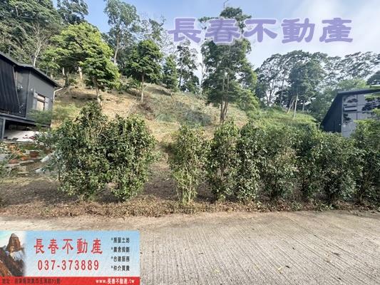 公館農地-1