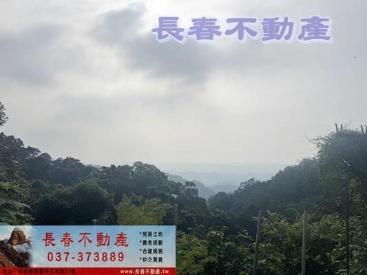 公館農地-3