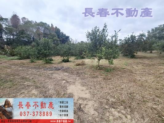 苗栗頭屋農地-3