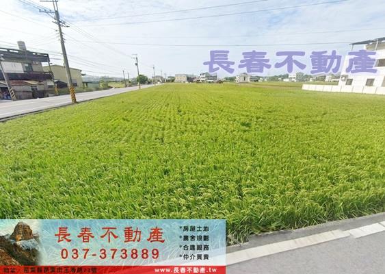 頭屋農地-0