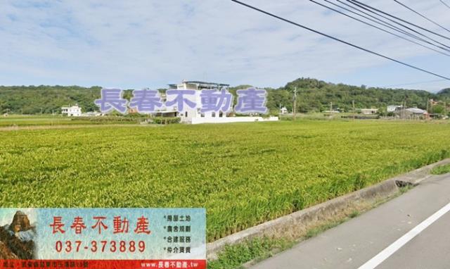 頭屋農地-0