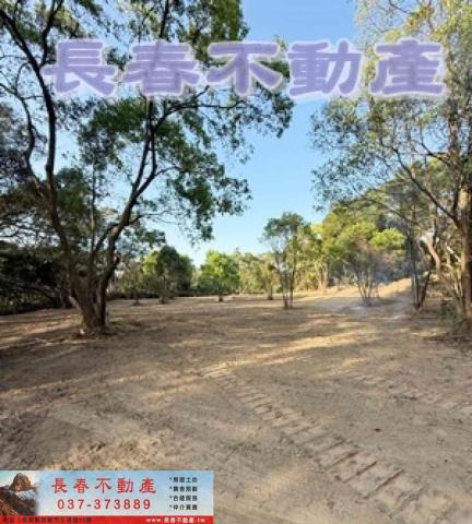 苗栗市農地-1