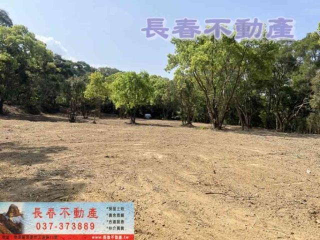 苗栗市農地-5