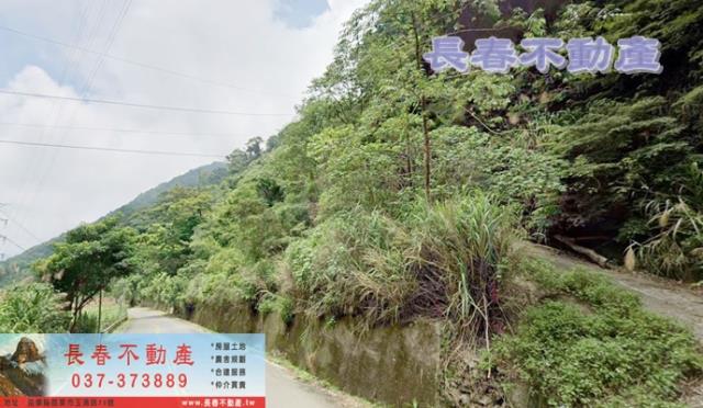 泰安山坡地-1