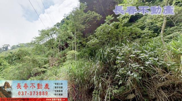 泰安山坡地-2