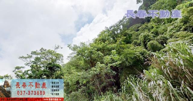 泰安山坡地-3