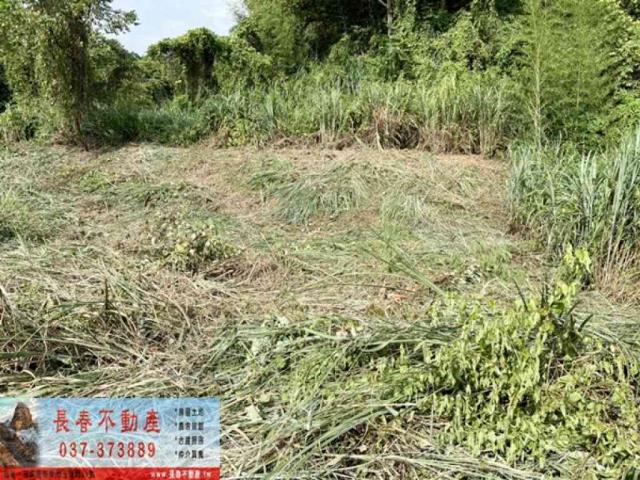 苗栗公館農地-0