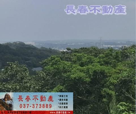 頭份農地-1
