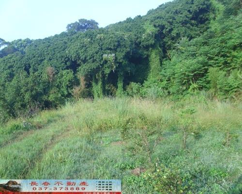 苗栗農地-0