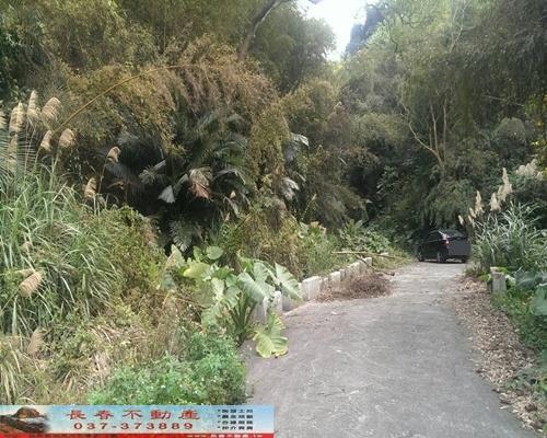 苗栗農地-0