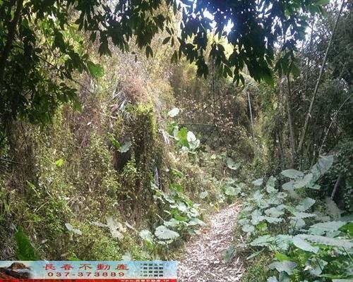 苗栗農地-2