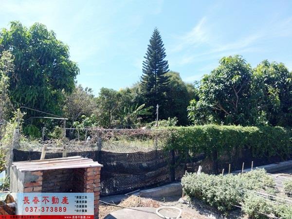 銅鑼農地-0