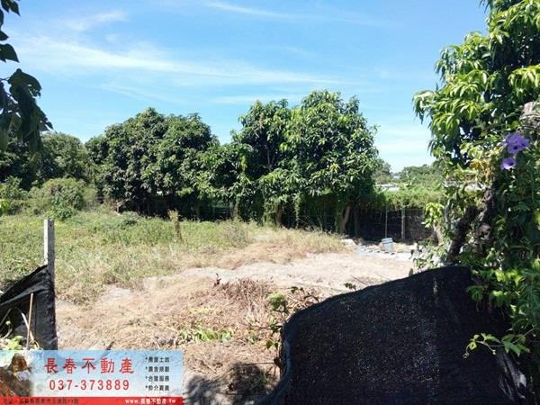 銅鑼農地-2