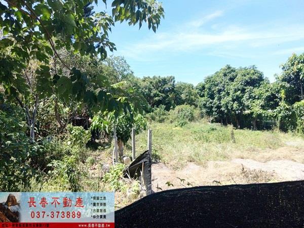 銅鑼農地-3