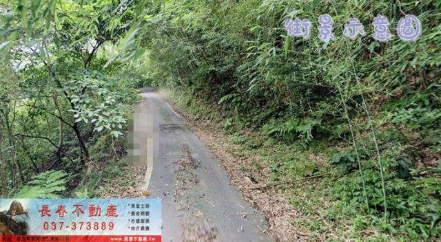 苗栗林地-0