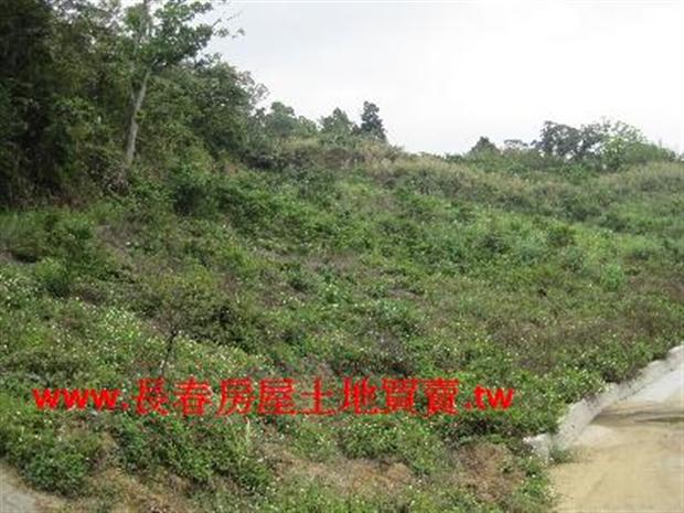 苗栗農地-0