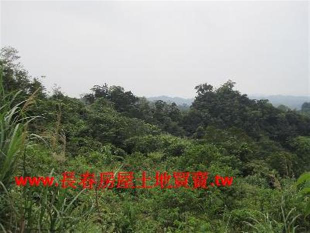 苗栗農地-3
