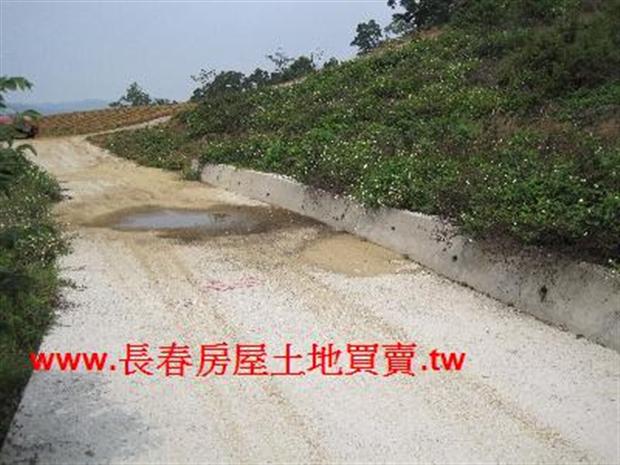 苗栗農地-5