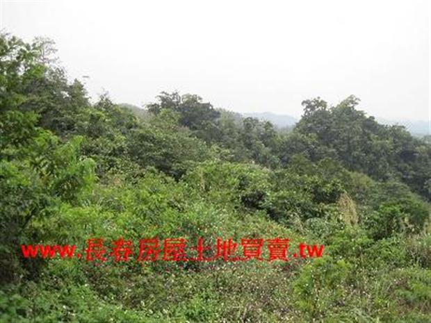 苗栗農地-2