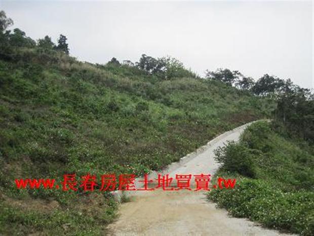 苗栗農地-4