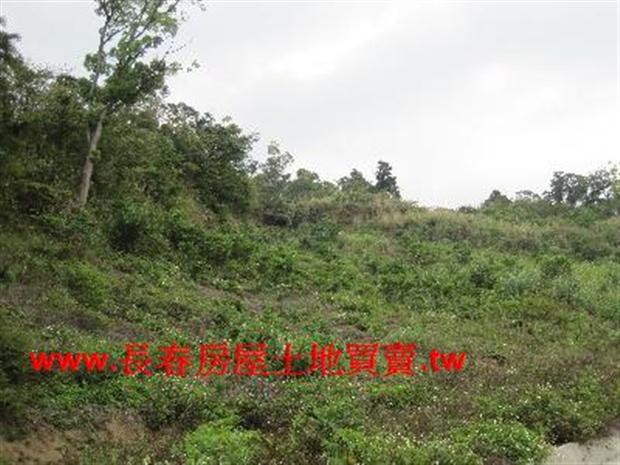 苗栗農地-1